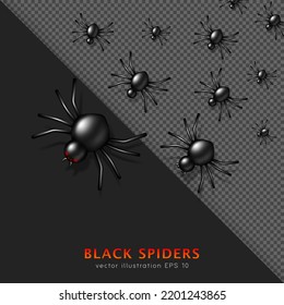 Set of cartoon black venomous crawling spiders. Three dimensional carnivorous creepy insects. Horror decoration for Halloween. Flock of spooky spiders isolated on black and transparent background