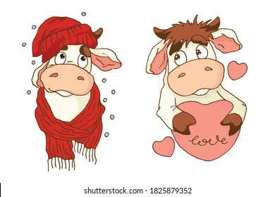 Set of cartoon bulls. Vector illustration isolated on white background for holiday design in flat style.