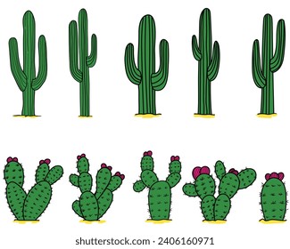 Set of cartoon cactus vector illustration. Pricky pear and saguaro type cactus