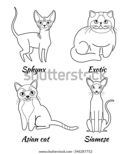 Featured image of post Cartoon Cat Walking Drawing This video will walk you through the steps of drawing a cat walk