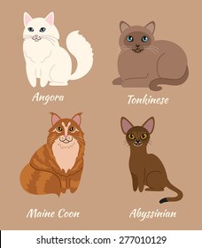 Set of cartoon cats with different colored fur standing, sitting or walking. Different breeds of cats: angora, tonkinese, maine coon, abyssinian.  Vector illustration.