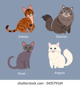 Set of cartoon cats with different colored fur standing, sitting or walking vector illustrations. Different breeds of cats: angora, korat, siberian, sokoke.