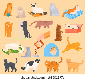 A set of cartoon cats that play, rest, sleep, eat. Cats isolated on a white background. Vector illustration