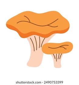 Set of cartoon chanterelle mushrooms. Edible mushrooms, vector illustration, icons eps 10.