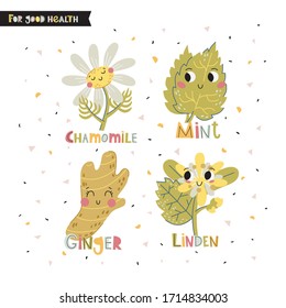 Set von Cartoon-Figuren aus Kamille, Linden, Minze, Ingwer.  Vektorgrafik. Flacher Stil. Hervorragend für die Gestaltung von Postkarten, Poster, Aufklebern und so weiter.