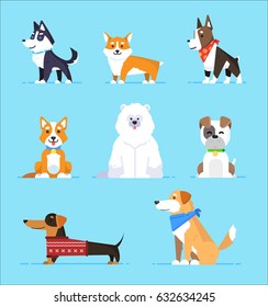 Set cartoon characters dogs in flat style on blue background