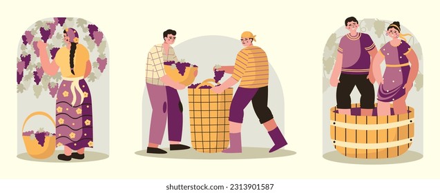 Set of cartoon characters making wine. Woman picking grapes in garden. Male carry basket with berries. Man and woman crushing berries with feet in basket. Flat vector illustration