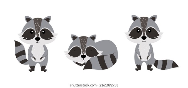 Set of cartoon characters raccoon on white background.Raccoon icon.Vector illustration for design and print