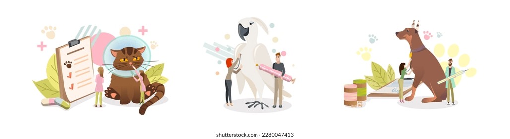 Set of cartoon characters working as veterinarians. Process of examining dog, cat and parrot. Modern animals healthcare services. Medical center for domestic animals treatment. Vector