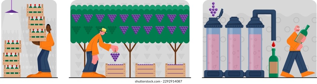 Set of cartoon characters of young multiracial people making natural wine. Time for winemaking process with organic grapes. Making alcohol drinks. Wine production industry. Vector