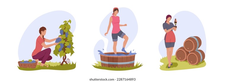 Conjunto de personajes de dibujos animados de mujeres jóvenes haciendo vino natural. Tiempo para el proceso de elaboración de vinos con uvas orgánicas. Preparando bebidas alcohólicas. Industria de la producción de vino. Vector