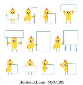 Set of cartoon chicken characters posing with diverse blank banners. Funny chicken holding paper, placard, pointing to whiteboard. Simple vector illustration