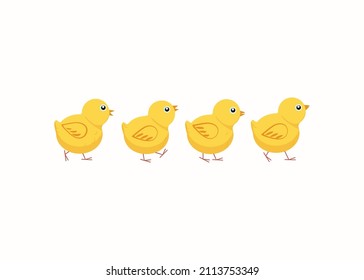 Set of cartoon chickens. Chicks, birds. Vector flat illustration. Background isolated.