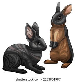 A set of cartoon Christmas drawn animals. Breed of  dark Britannia petite rabbit