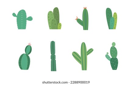 Set of Cartoon colorful cactus and succulents. Decorative flowers and plants. Isolated icons illustration. Collection of exotic plants.