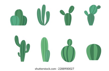 Set of Cartoon colorful cactus and succulents. Decorative flowers and plants. Isolated icons illustration. Collection of exotic plants.