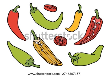 Set of cartoon colorful chilli peppers in different views, flat illustration. Hand drawn capsicum whole and sliced, isolated on white background for menu or food design.