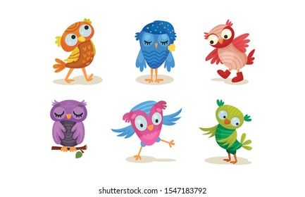 Set of cartoon colorful owls. Vector illustration on a white background.