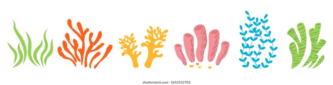 Conjunto de caricaturas de corais e algas subaquáticas. Plantas coloridas do oceano. Laminaria, marinhas, anêmonas, corais e algas marinhas, algas marinhas, plantas de aquário vetor ilustração isolada em branco.