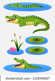 Set Of Cartoon Crocodile And Water Lily