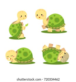 Set Cartoon Cute Baby Tortoise Smile Happy