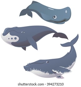 set of cartoon cute and funny whales, vector illustration