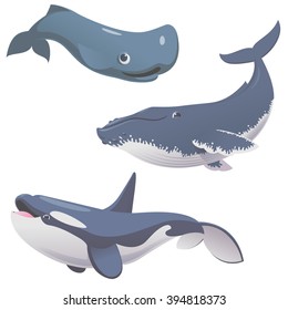 set of cartoon cute and funny whales,  sea animals collection, vector illustration of a killer whale, humpback whale and sperm whale