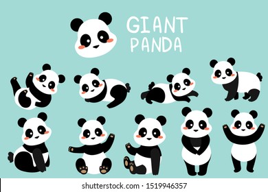 Set of cartoon cute illustrations with chinese giant panda bears. Different poses