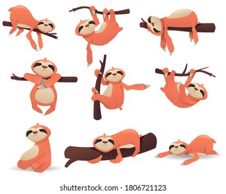 Set of cartoon cute sloth. Poze of sloth. Character of sloth hanging on a tree. Funny animals happy sleeping in tropical. Vector illustration 