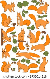 Set of cartoon cute squirrels with acorns and hazelnuts sit, stand and jump holding nuts and smelling leaves and brunches