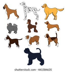 Set of cartoon dog breeds isolated on white background.