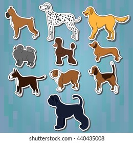 Set of cartoon dog breeds on white stickers with shadows