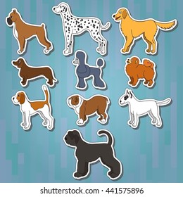 Set of cartoon dog breeds on white stickers with shadows