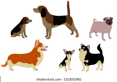 Set of cartoon dogs of different breeds and sizes. Cute vector animals on a white background. Pug dog, Welsh Corgi, Chihuahua, Beagle