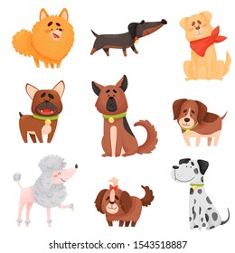 Set of cartoon dogs of different breeds. Vector illustration on a white background.