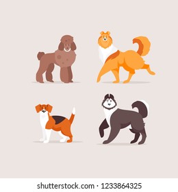 Set of cartoon dogs. Poodle, collie, Beagle and Siberian husky. Vector illustration