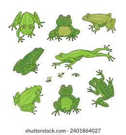 Set of cartoon doodle vector frogs animals.