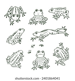 Set of cartoon doodle vector frogs line animals.