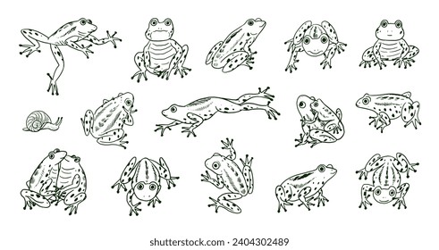Set of cartoon doodle vector frogs animals.