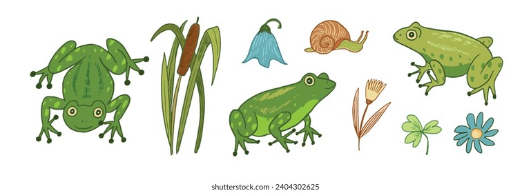 Set of cartoon doodle vector frogs animals.