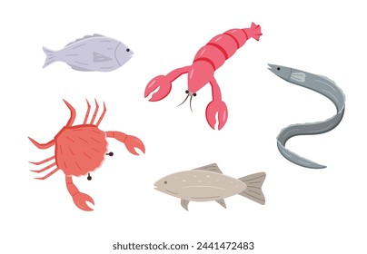 A set of cartoon drawings of marine animals. Vector illustration of fish, algae, eel, crab, lobster. Isolated on white.