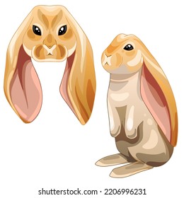 A set of cartoon drawn animals. Breed of rabbits English Lop Rabbit