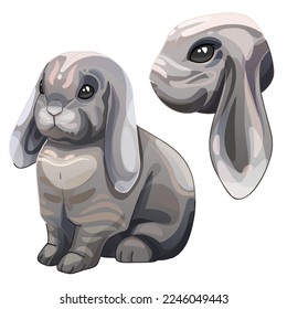 A set of cartoon drawn animals. Breed of French lop rabbit