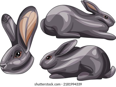 A set of cartoon drawn animals. Rabbit breed of American.