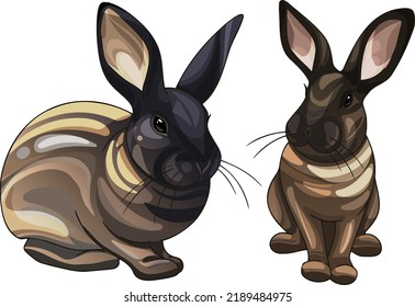 A set of cartoon drawn animals. Rabbit breed of Cinnamon.