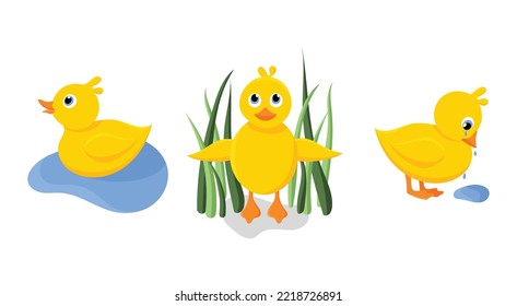 Set of cartoon duck on a white background. Vector colored illustration. Yellow animal. Baby bird. Isolated objects. 