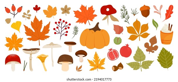 Set of cartoon elements of autumn. Collection of autumn attributes. Vector illustration for kids