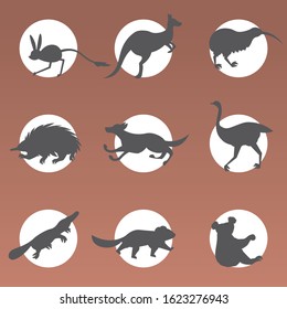 set cartoon endangered wild australian animals tasmanian devil echidna dingo jerboa ostrich kiwi platypus koala kangaroo symbols collection wildlife species fauna concept flat vector illustration