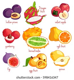 Set of cartoon exotic products. Vector icons on a white background. Indian prune, dragon fruit, velvet apple, yumberry, horned melon, ugli, fig, egg fruit, and quince.