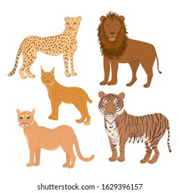 Set of cartoon feline animals. Cheetah, lion, lynx, cougar, and tiger vector illustration.